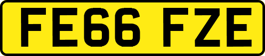 FE66FZE