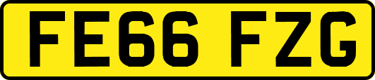 FE66FZG