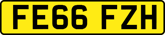 FE66FZH