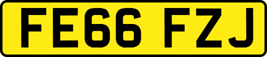 FE66FZJ