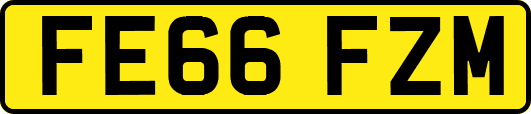 FE66FZM