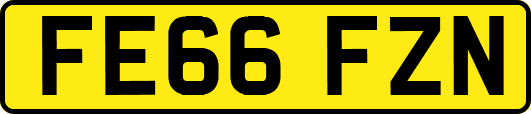 FE66FZN