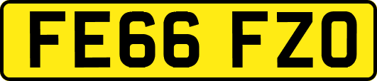 FE66FZO