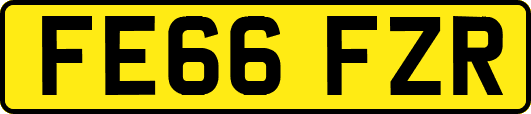 FE66FZR