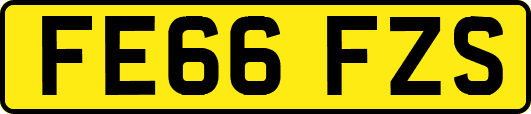 FE66FZS