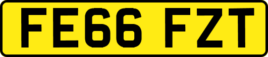 FE66FZT