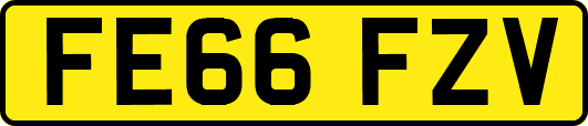 FE66FZV