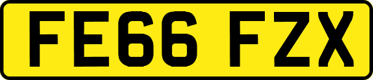 FE66FZX