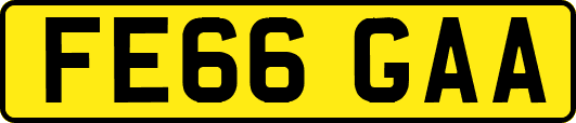 FE66GAA
