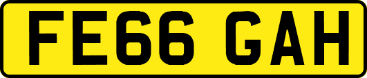 FE66GAH