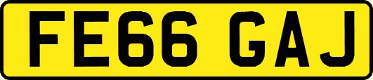 FE66GAJ