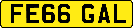 FE66GAL