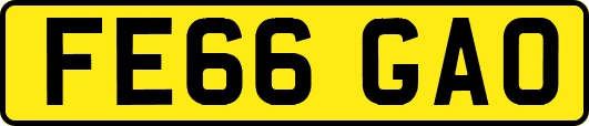 FE66GAO