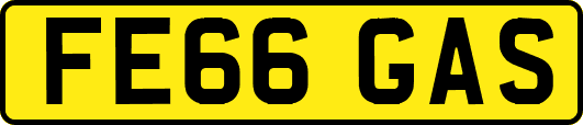 FE66GAS