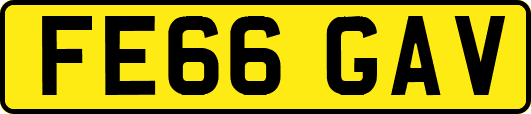 FE66GAV