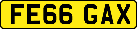 FE66GAX