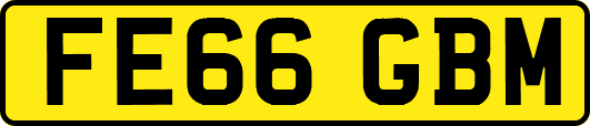 FE66GBM