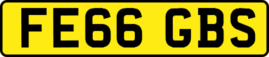 FE66GBS
