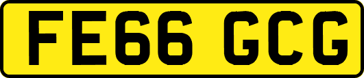 FE66GCG