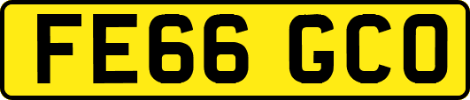 FE66GCO
