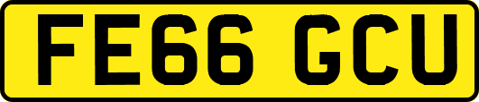 FE66GCU