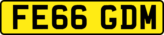 FE66GDM