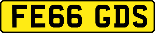 FE66GDS