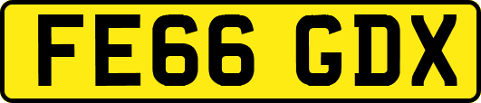 FE66GDX