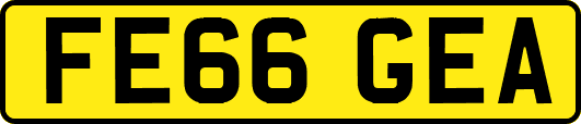 FE66GEA