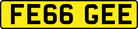 FE66GEE