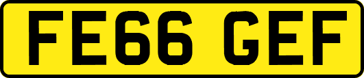 FE66GEF