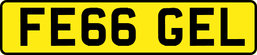 FE66GEL