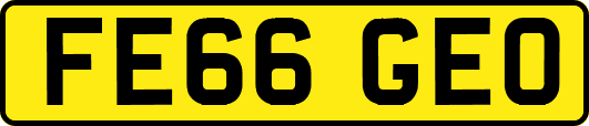 FE66GEO