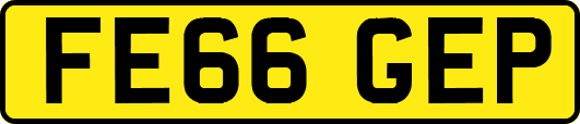 FE66GEP