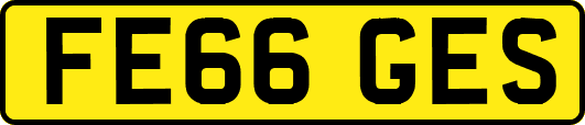 FE66GES