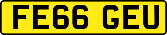 FE66GEU
