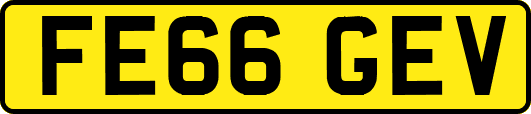 FE66GEV