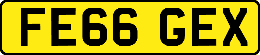 FE66GEX