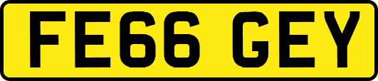 FE66GEY