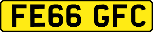 FE66GFC