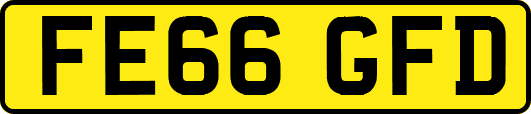 FE66GFD