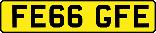 FE66GFE