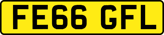 FE66GFL