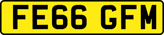 FE66GFM