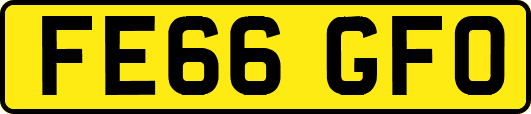 FE66GFO
