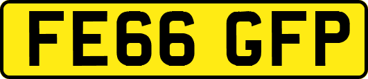 FE66GFP
