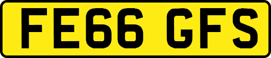 FE66GFS