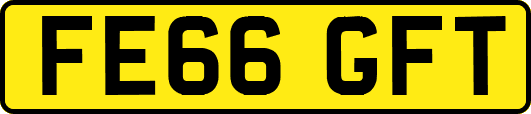 FE66GFT