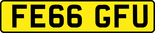 FE66GFU