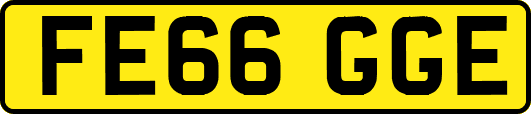 FE66GGE